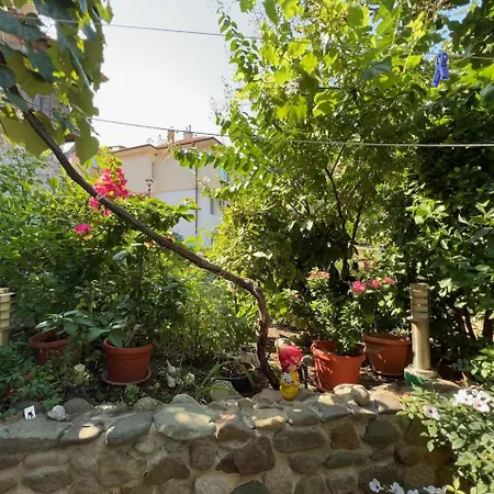 Family Emilia 3* Созополь