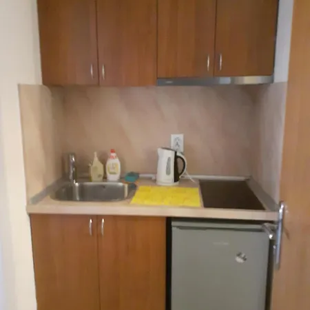 Family Emilia Созополь