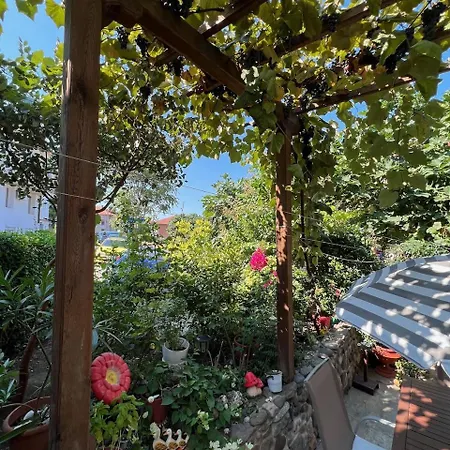 Family Emilia Sozopol