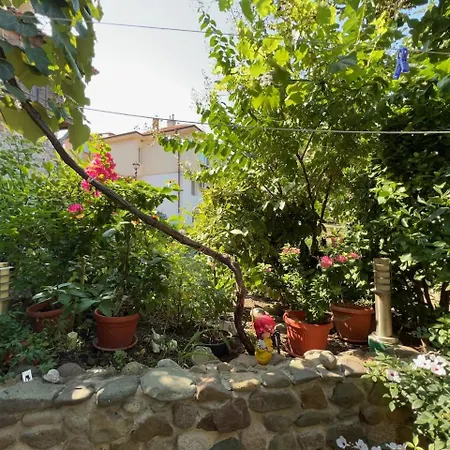 Family Emilia 3* Sozopol