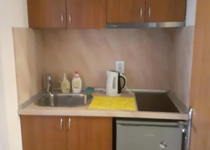 Family Emilia Sozopol